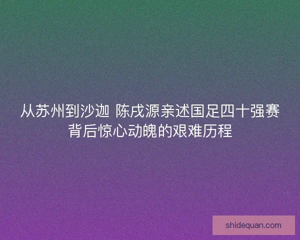 从苏州到沙迦 陈戌源亲述国足四十强赛背后惊心动魄的艰难历程
