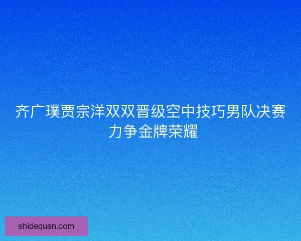 齐广璞贾宗洋双双晋级空中技巧男队决赛 力争金牌荣耀